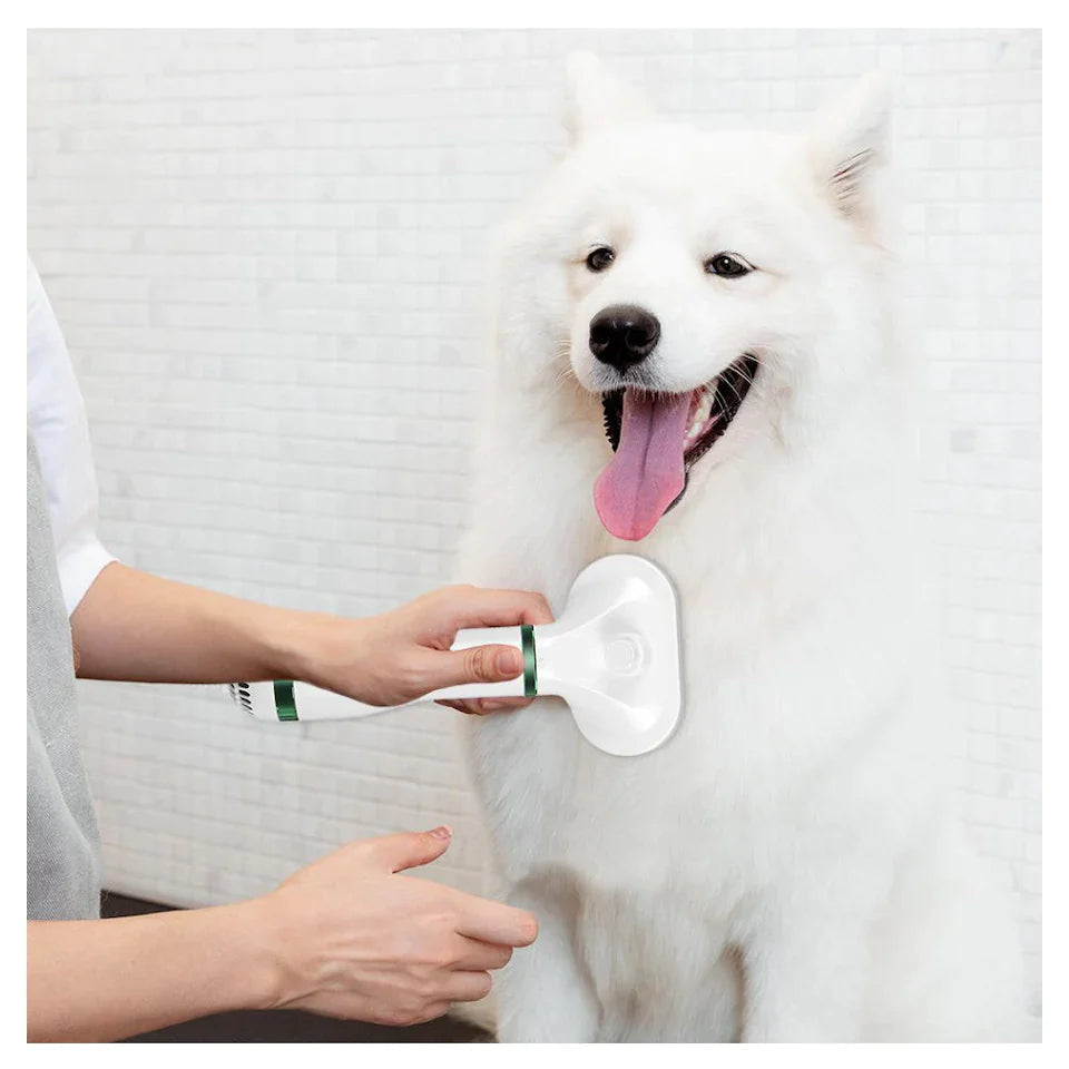 Seche cheveux pour animaux de compagnie 2 en 1