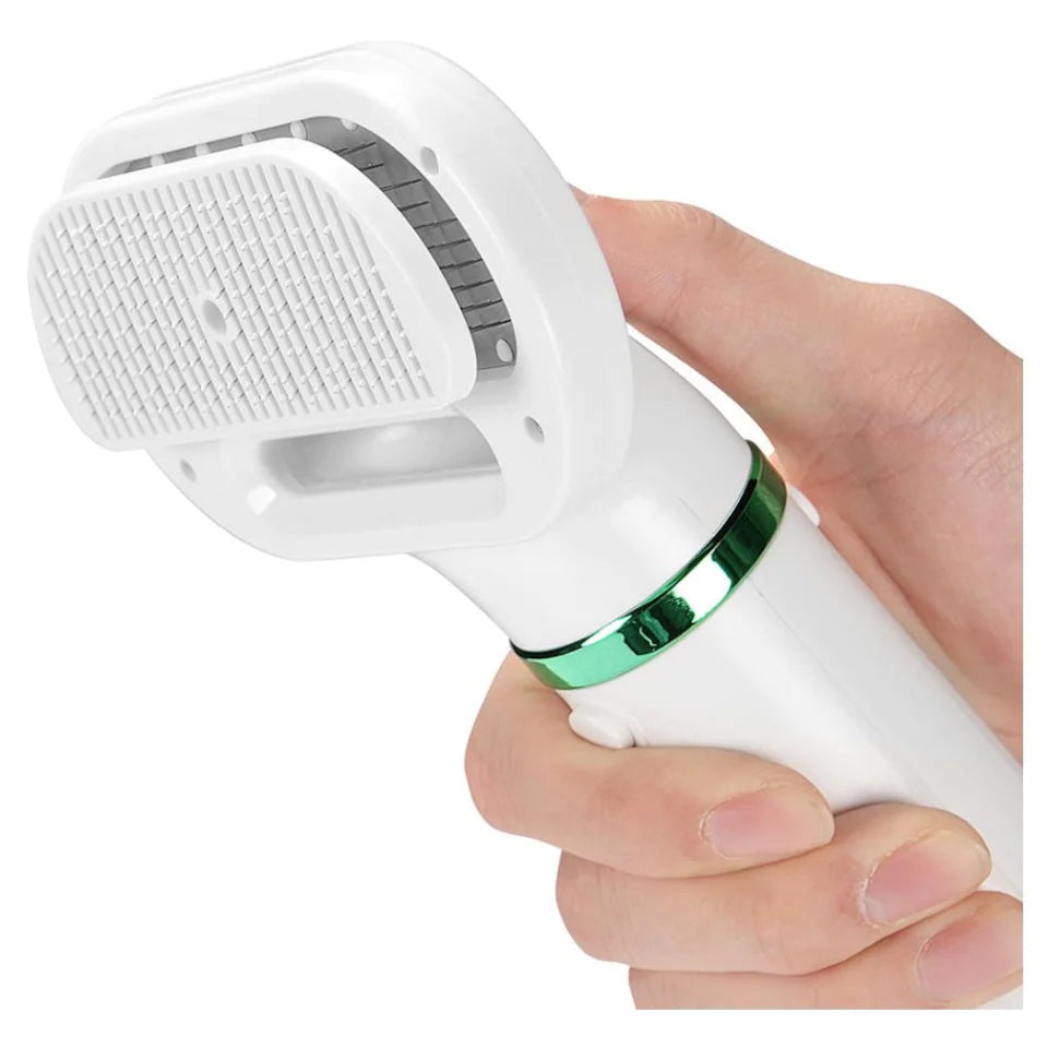 Seche cheveux pour animaux de compagnie 2 en 1