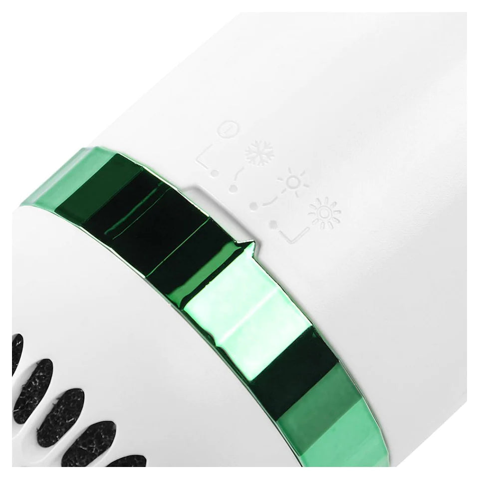 Seche cheveux pour animaux de compagnie 2 en 1