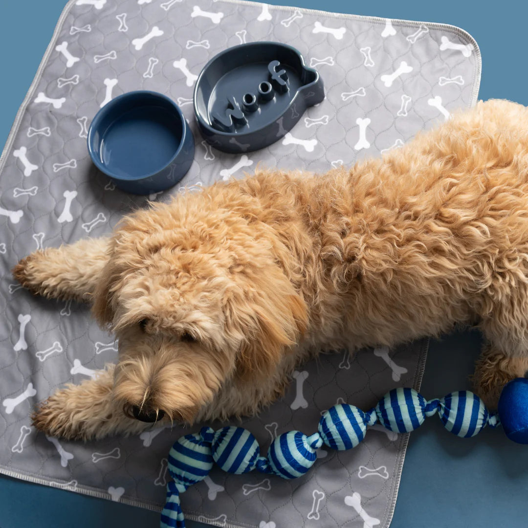 PiPi Pad - Anti-Fuite et Réutilisable