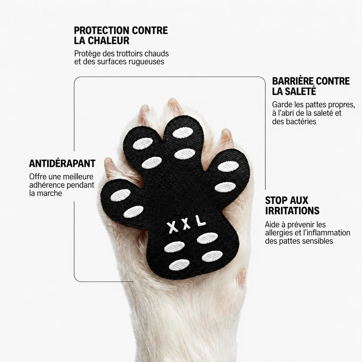 Protège-pattes pour chien