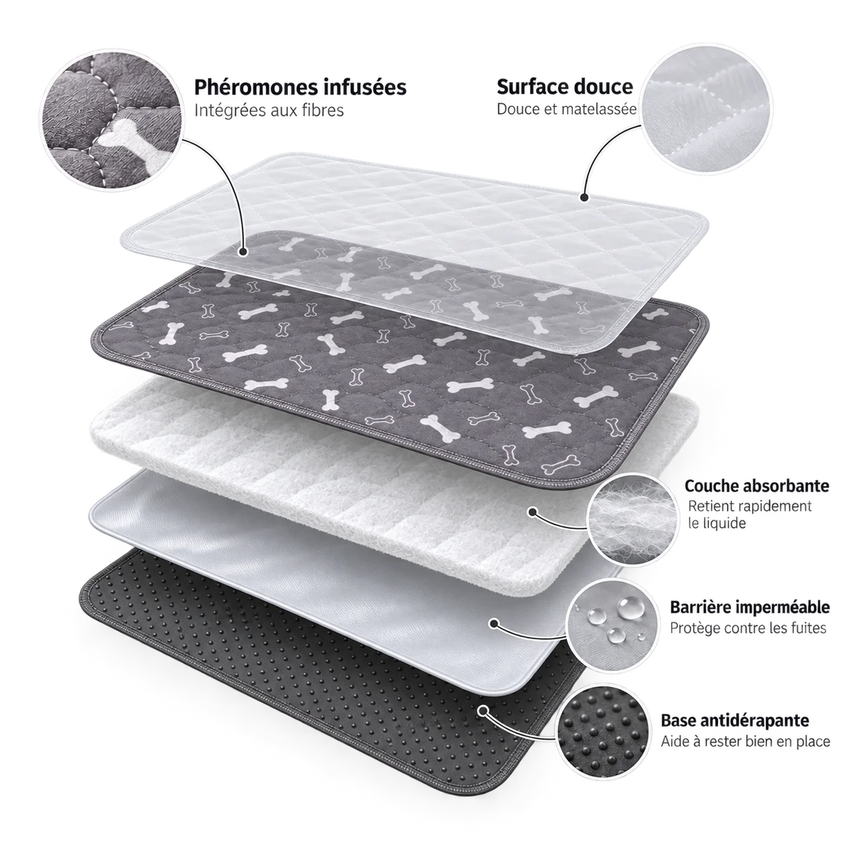 PiPi Pad
